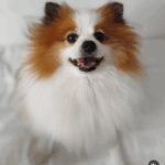 Screenshot_2025-04-08-00-41-20-763_com.instagram.android-897x1024