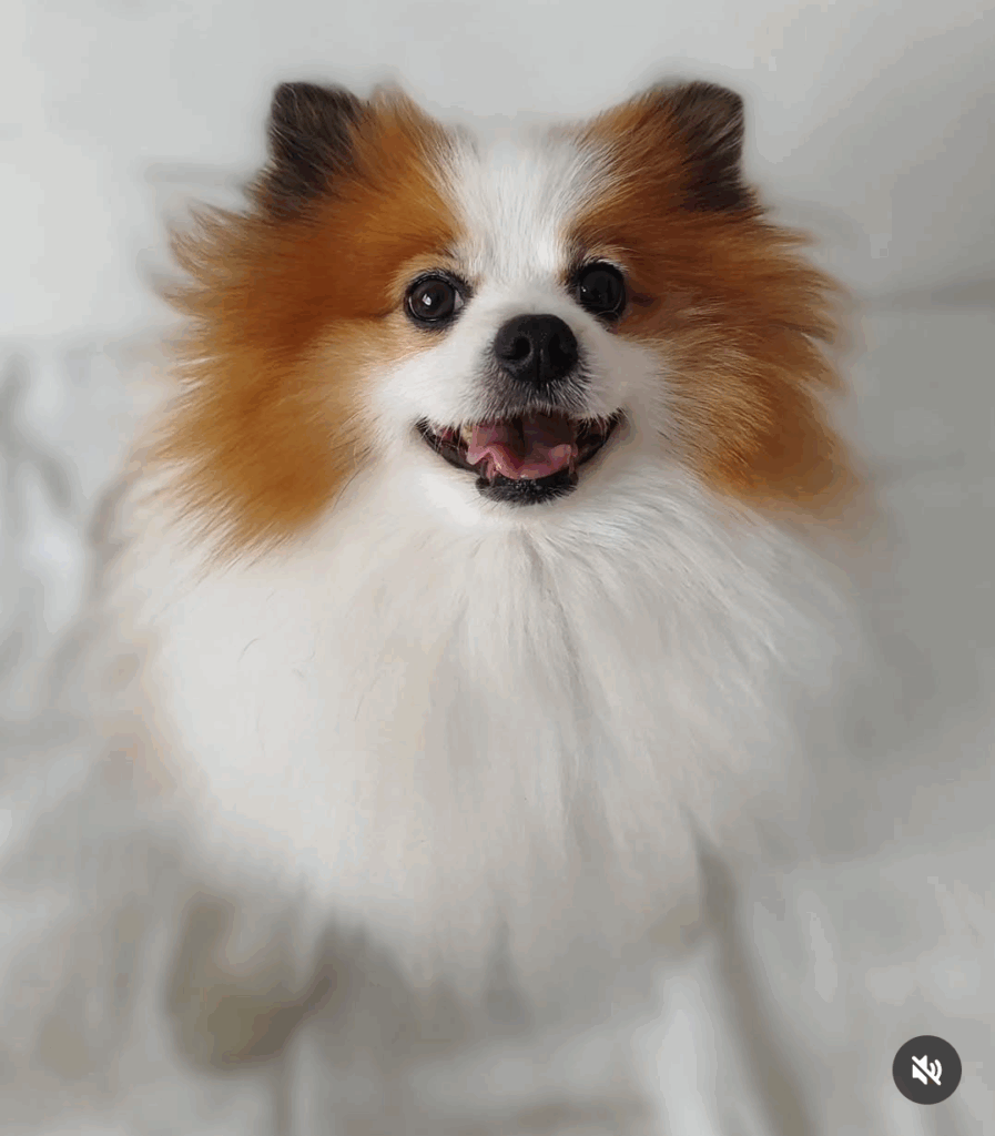 Screenshot_2025-04-08-00-41-20-763_com.instagram.android-897x1024 Screenshot_2025-04-08-00-41-20-763_com.instagram.android-897x1024